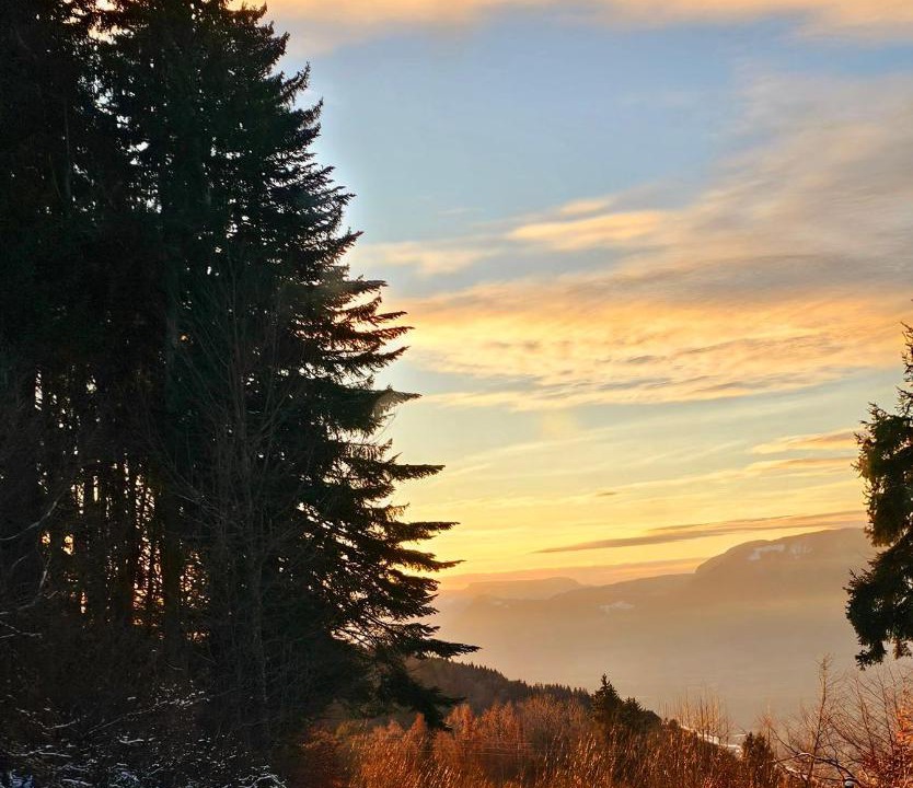 Photo of Others in Bonvillard