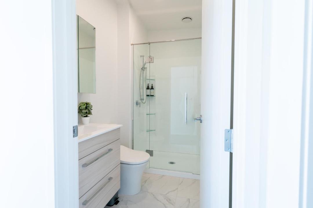 Photo of Others in Tauranga