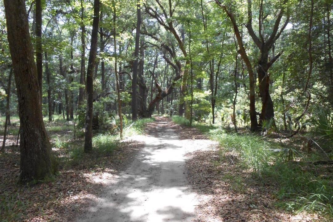 Photo of Outdoor in Daufuskie Island