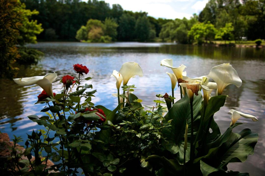 Photo of Others in Villandraut