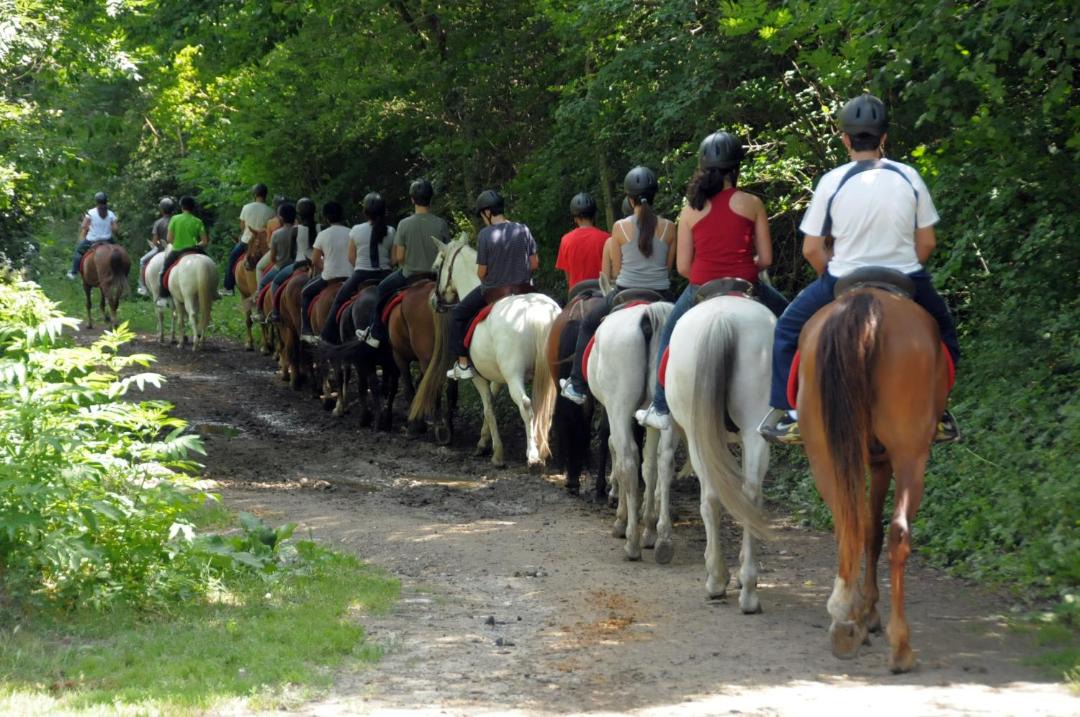 Photo of Outdoor in Espot