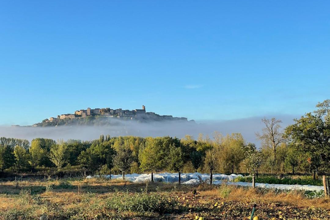 Photo of Others in Cordes-sur-Ciel