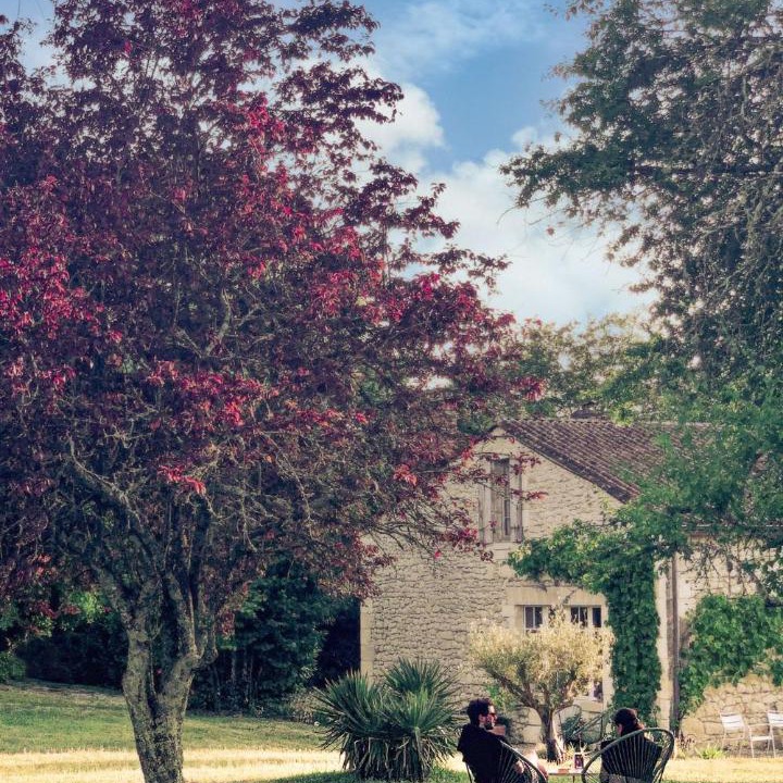 Photo of Others in Vertheuil