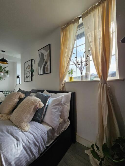 Photo of Others in Roehampton