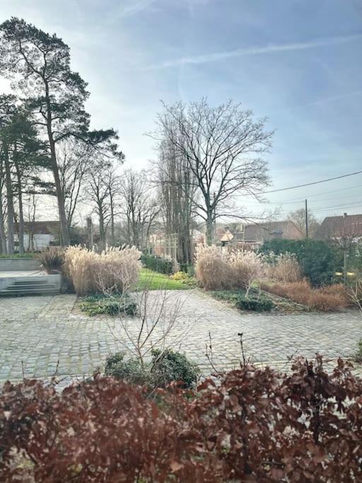 Photo of Others in Coutiches