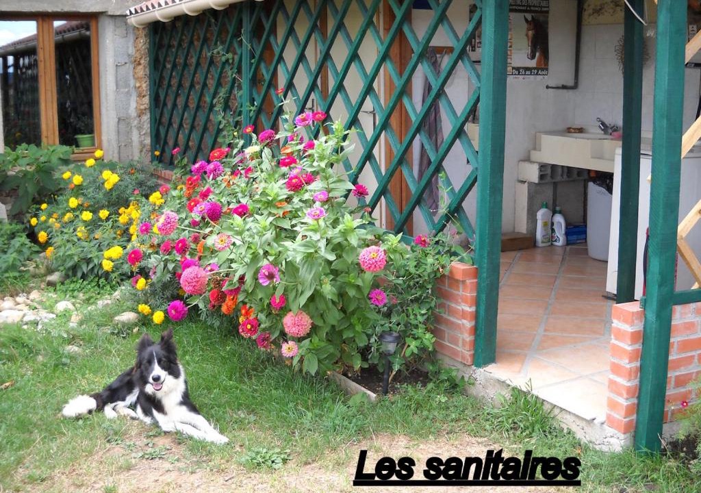 Photo of Others in Penol