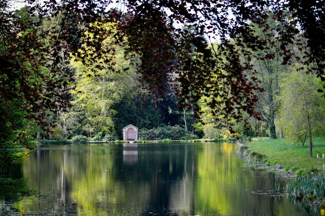 Photo of Others in Weston Under Lizard