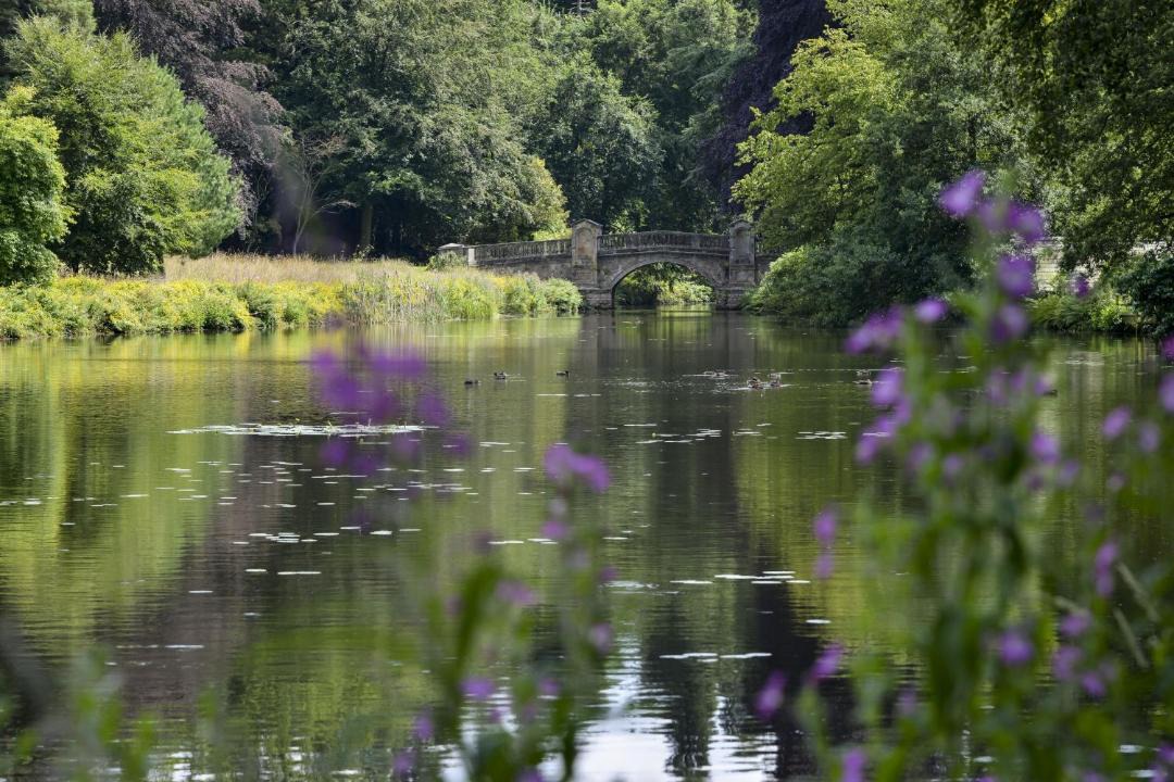 Photo of Others in Weston Under Lizard