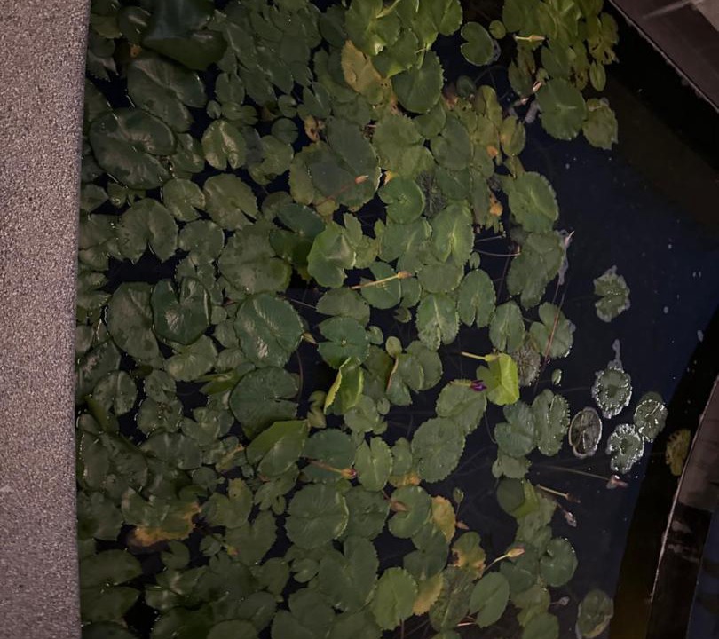 Photo of Others in Bukit Bintang