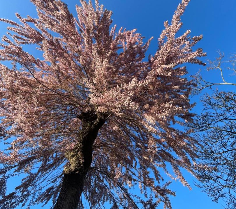 Photo of Others in La Meziere