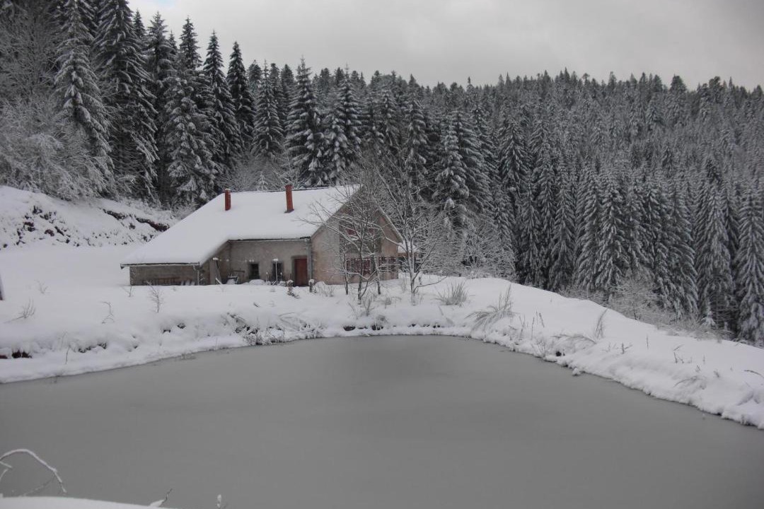 Photo of Others in Gerardmer