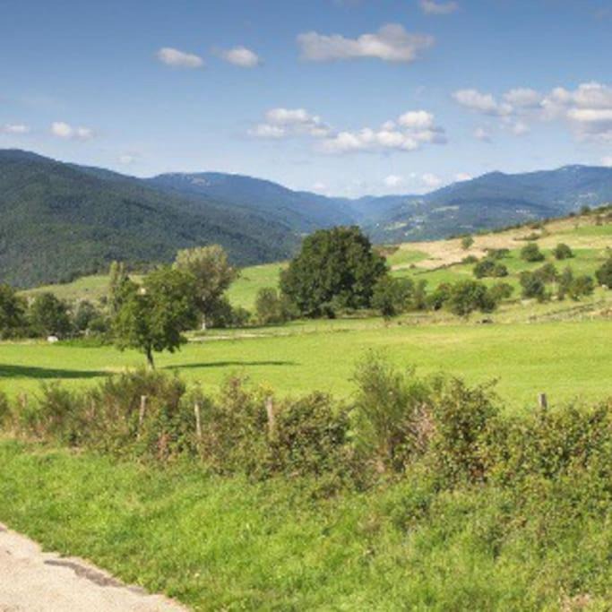 Photo of Others in Roiffieux