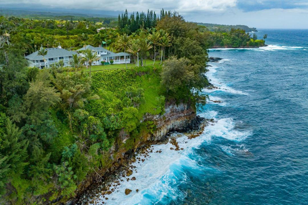 Photo of Others in Honomu