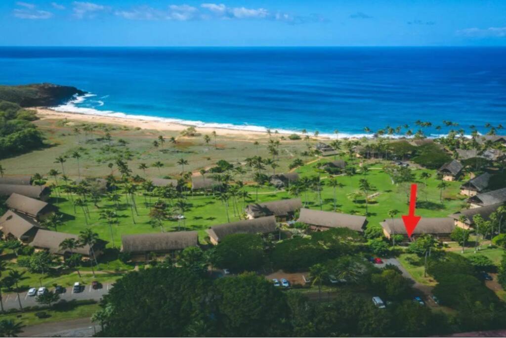 Photo of Others in Maunaloa