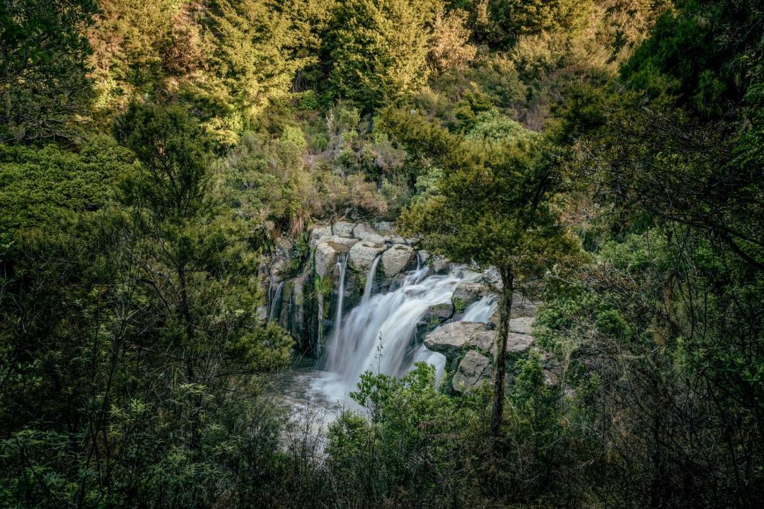Photo of Others in Matauri Bay