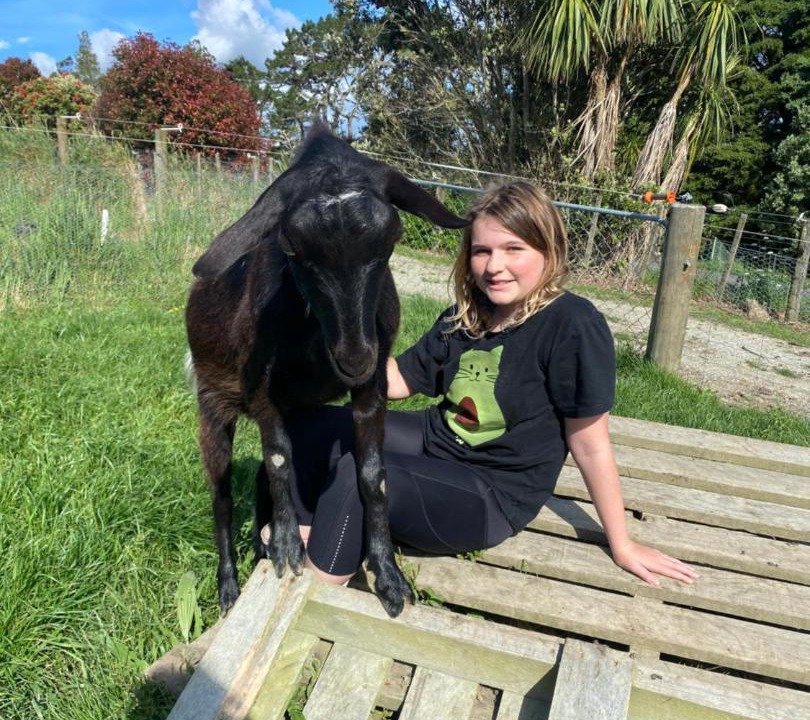 Photo of Others in Waimauku