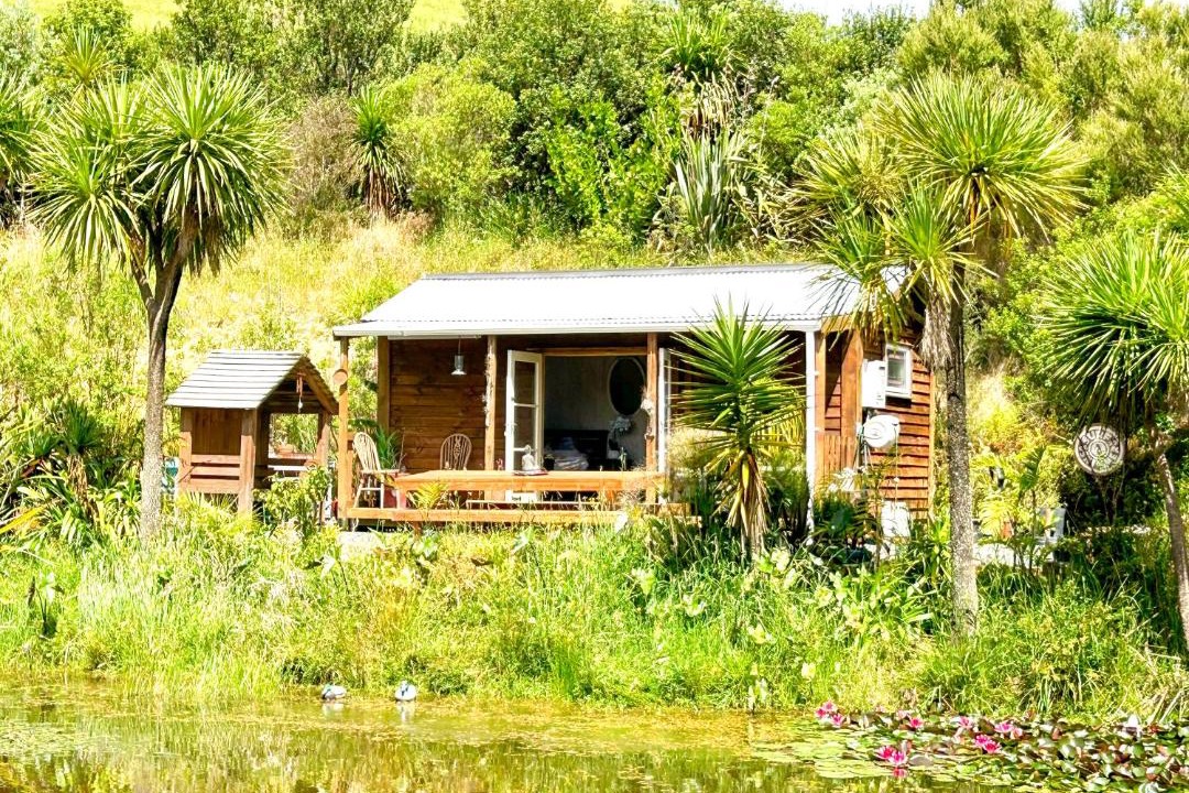 Photo of Others in Matapouri