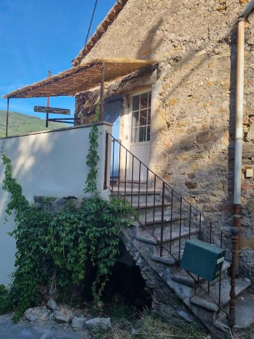 Photo of Others in Saint-Florent-sur-Auzonnet