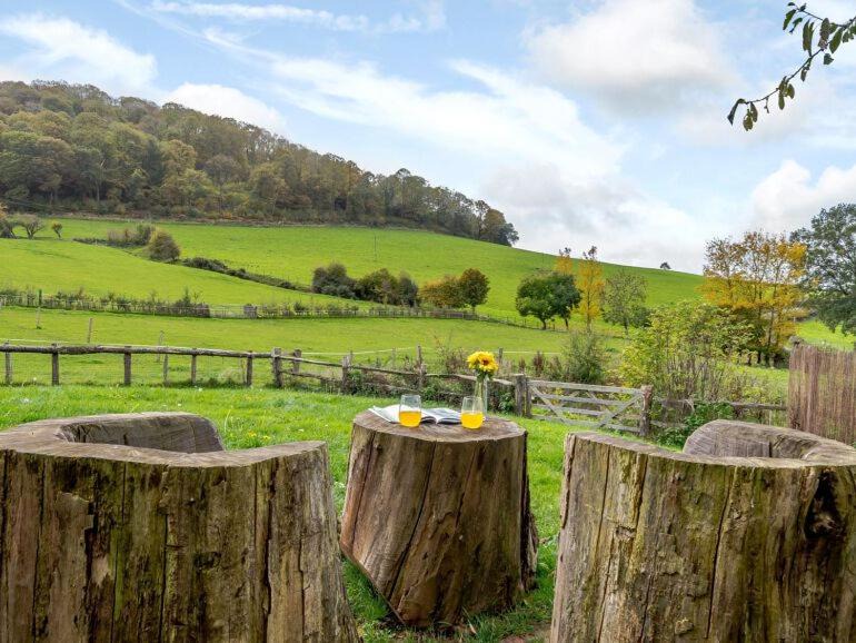 Photo of Others in Callow