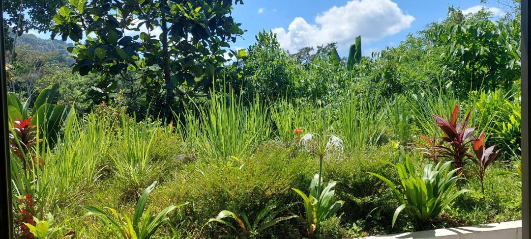 Photo of Others in Sidemen