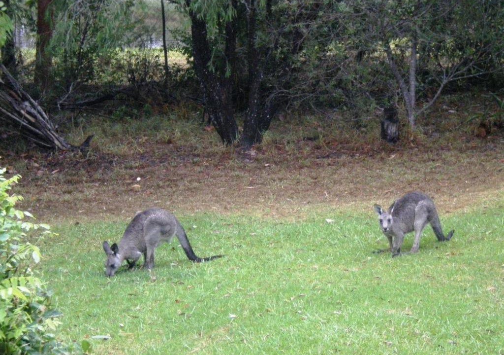 Photo of Others in Kangaroo Valley