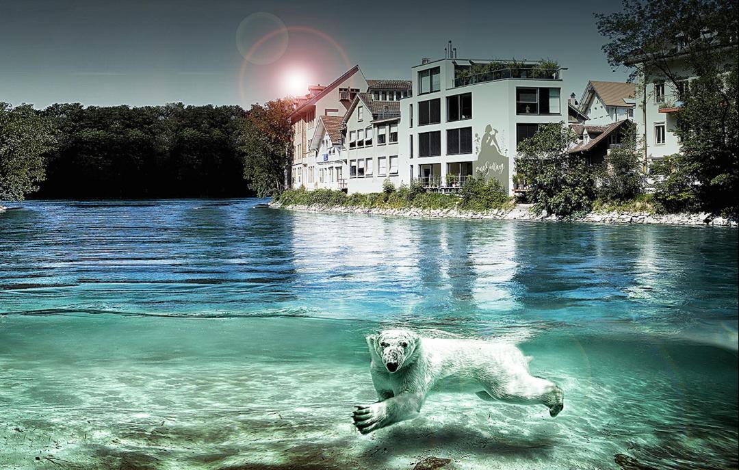 Photo of Outdoor in Old City of Bern