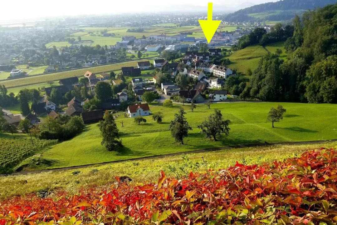 Photo of Others in Berneck