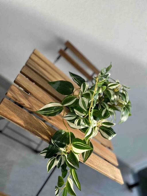 Photo of Others in Mulgrave