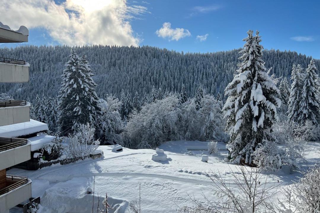 Photo of Others in Waldhaus Flims