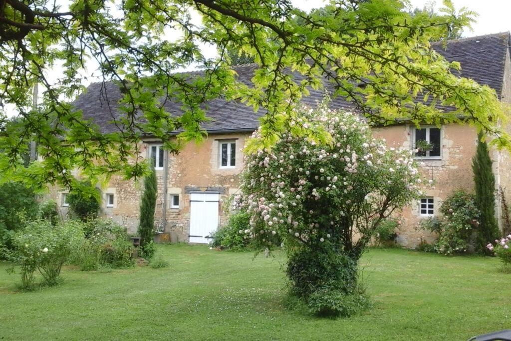 Photo of Others in Gemages