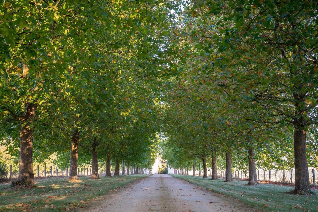 Photo of Others in Vivy