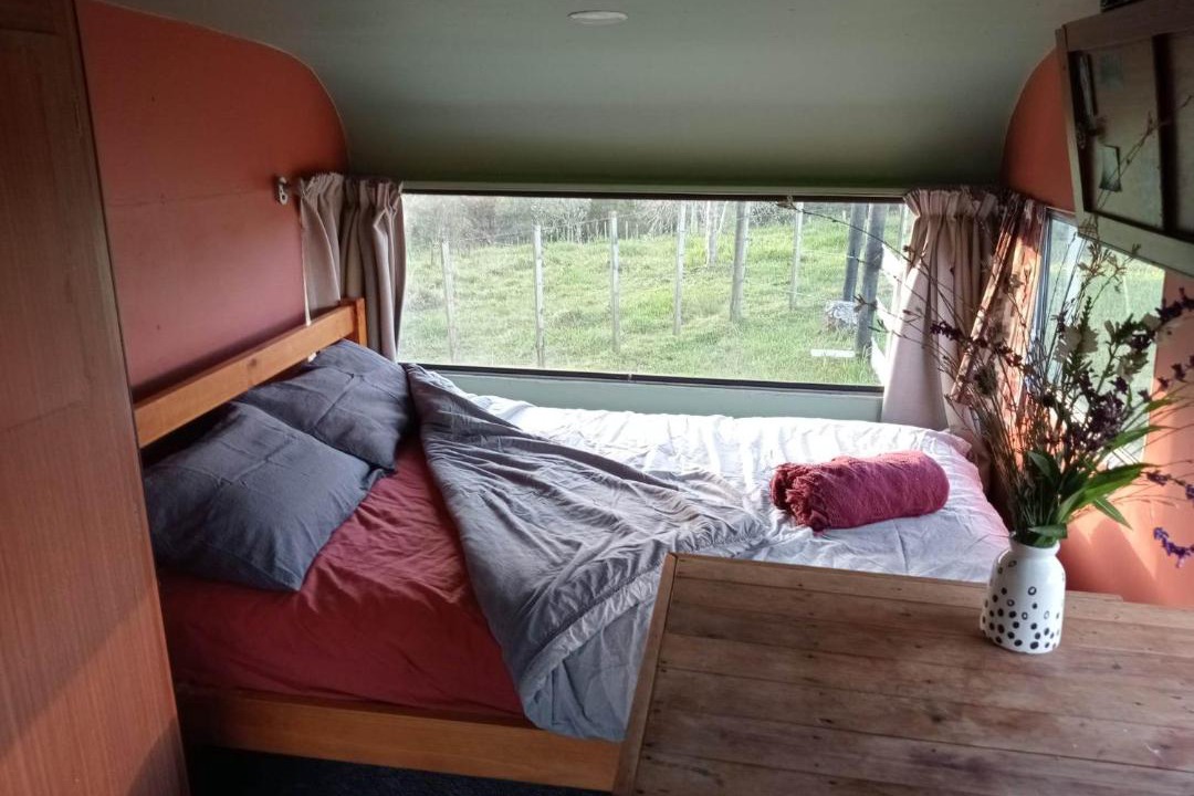 Photo of Others in Waimate North