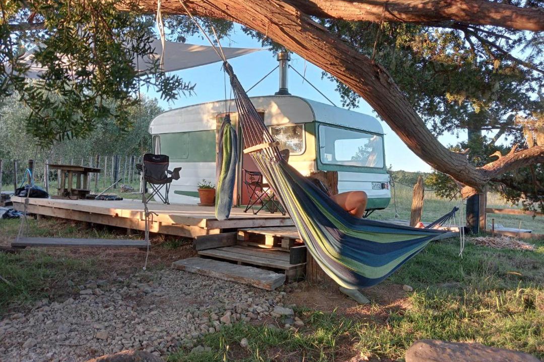 Photo of Others in Waimate North