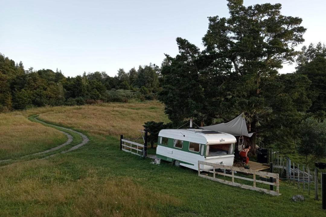 Photo of Others in Waimate North
