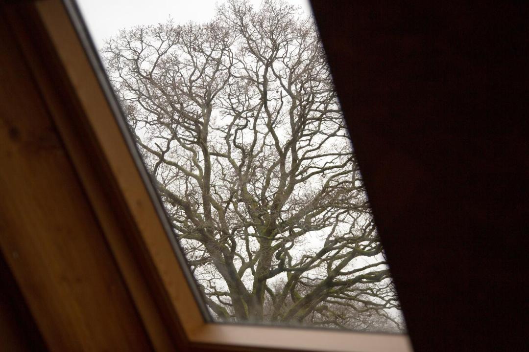 Photo of Others in Saint-Tugdual