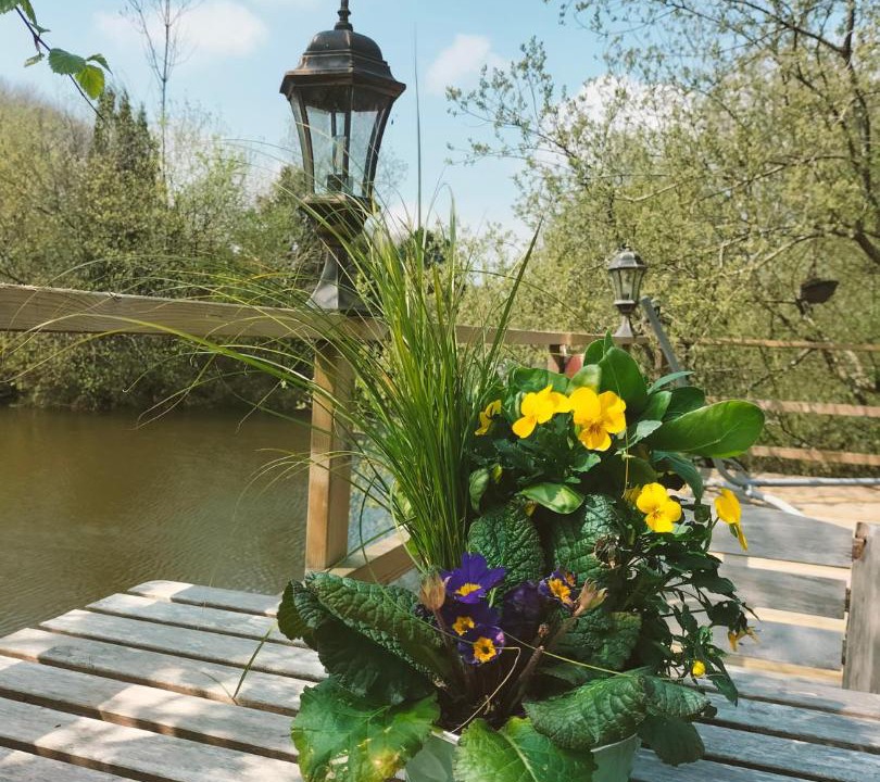 Photo of Others in La Roche-Maurice