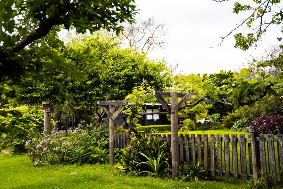 Photo of Others in Paihia