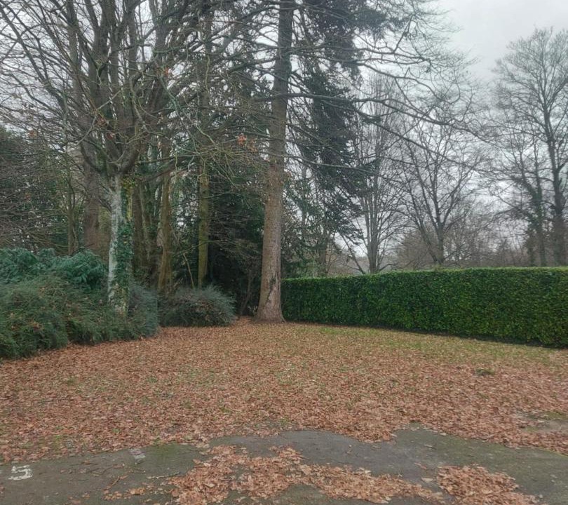 Photo of Others in Saint-Gregoire