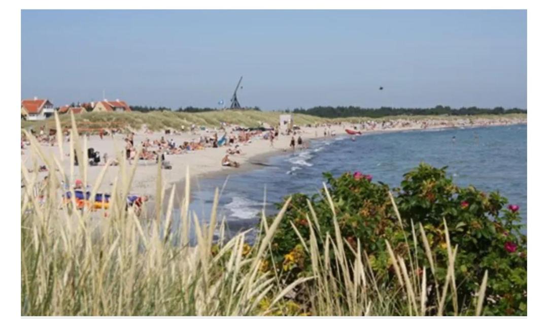 Photo of Others in Skagen
