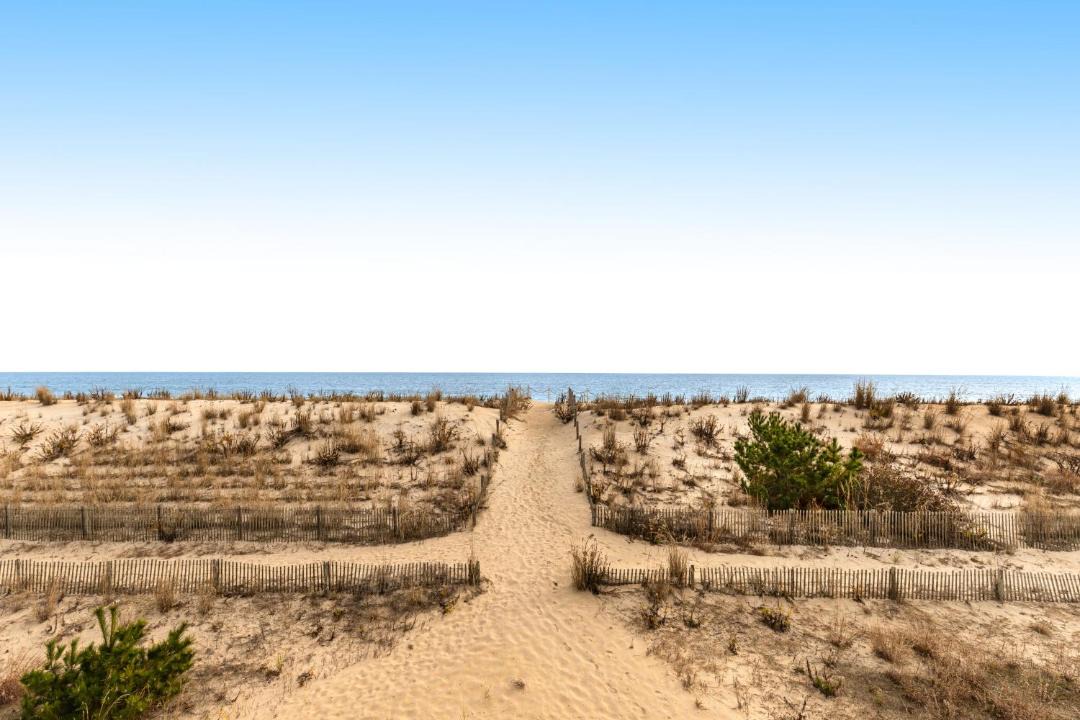 Photo of Others in South Bethany