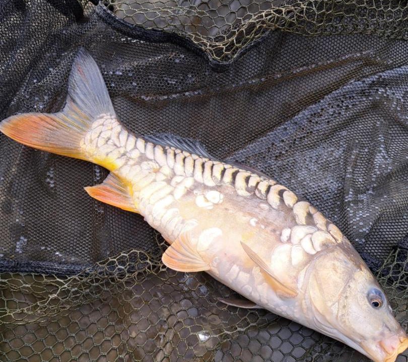 Photo of Outdoor in Whittlesey