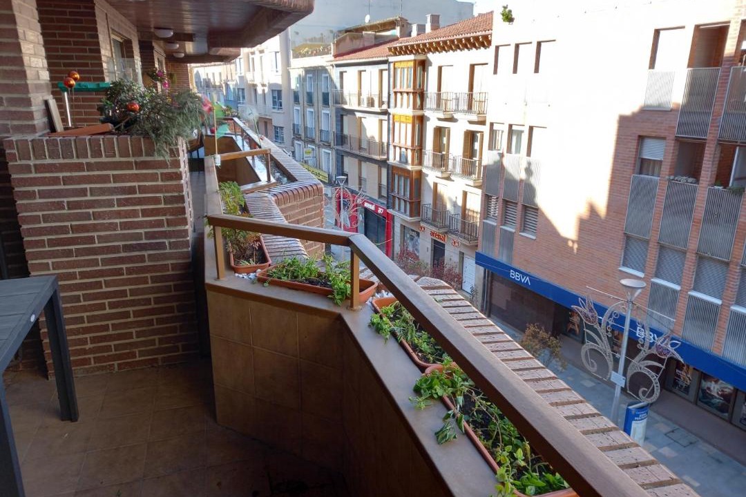 Photo of Others in Tudela
