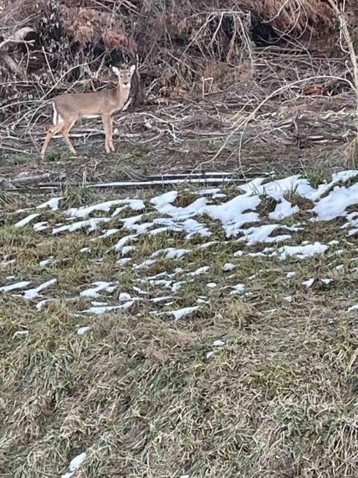 Photo of Others in Johnson City