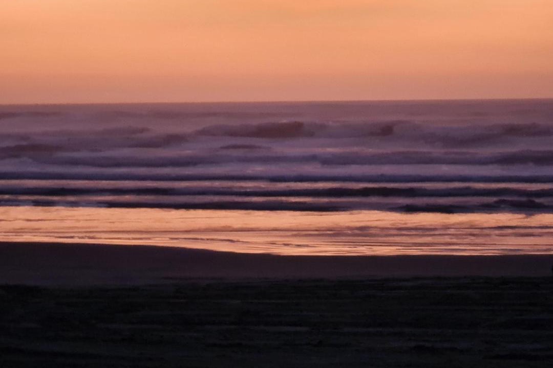 Photo of Others in Waitarere Beach