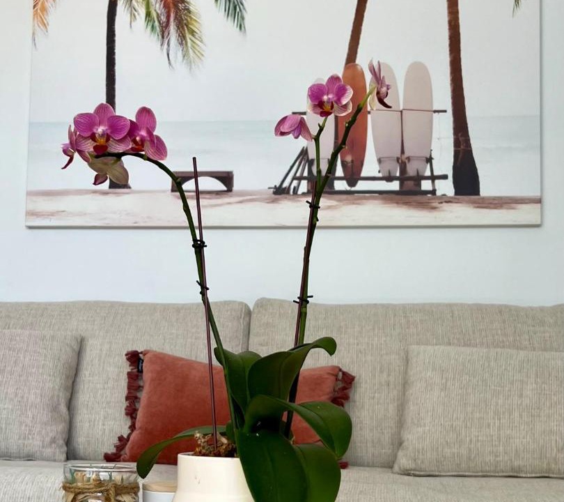 Photo of Others in Coolum Beach