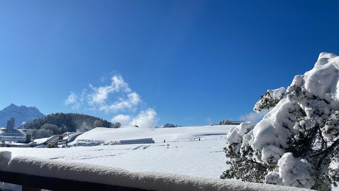 Photo of Others in Leysin