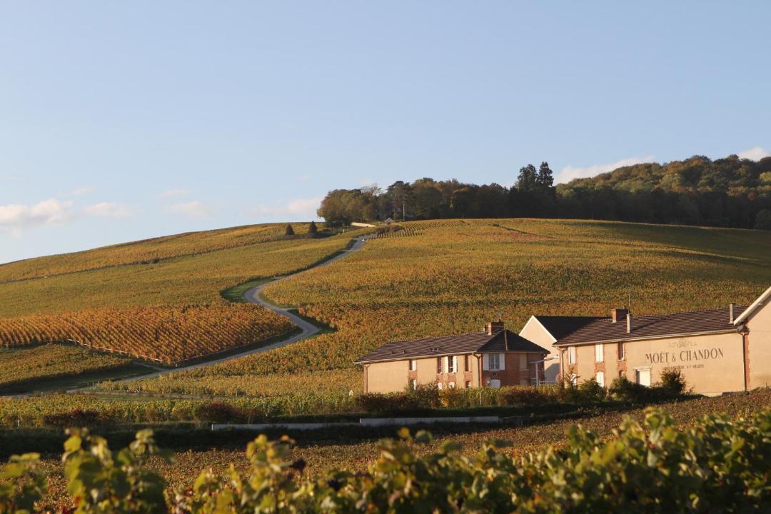 Photo of Others in Epernay