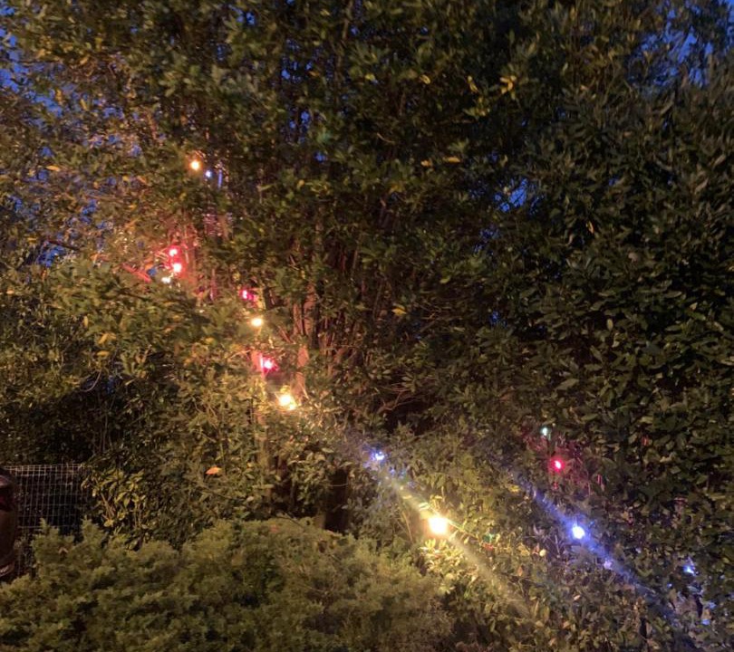 Photo of Others in Villenave-d'Ornon