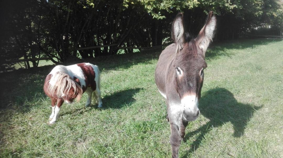 Photo of Others in Ecommoy