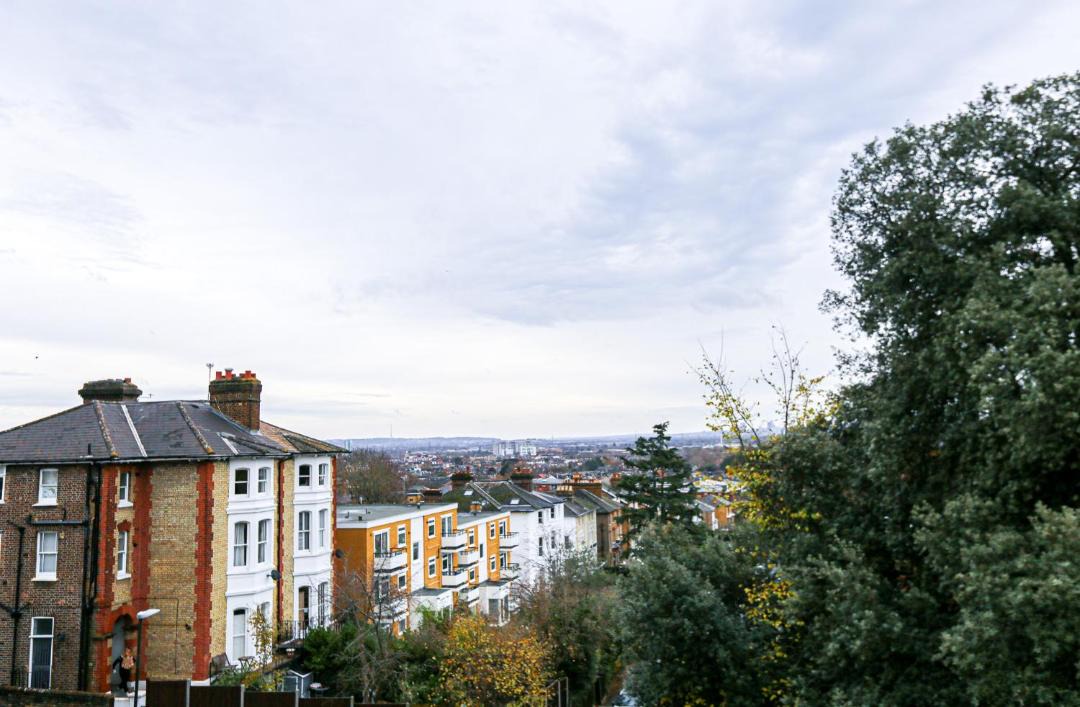 Photo of Others in Hillside